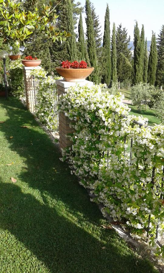 B&B La Piaggia Montemerano Exterior photo